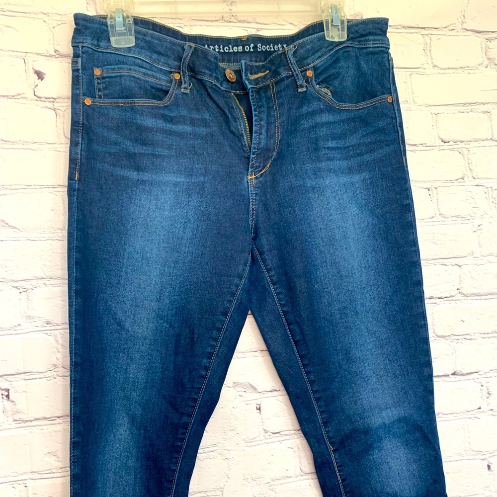 Articles of Society skinny Jean, size 30